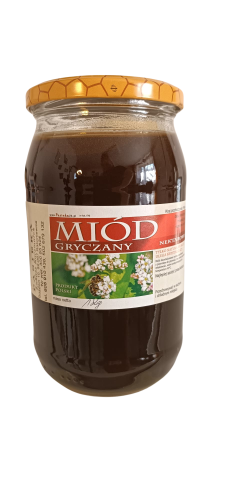 Projekt bez nazwy (8).png